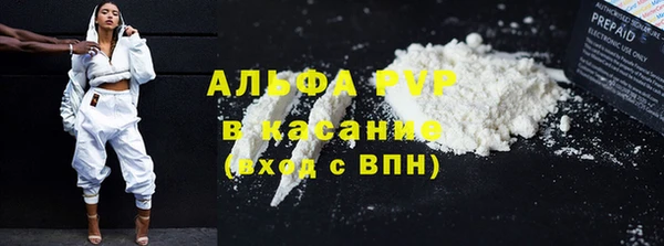 тгк Володарск