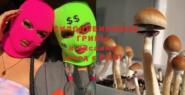 тгк Володарск