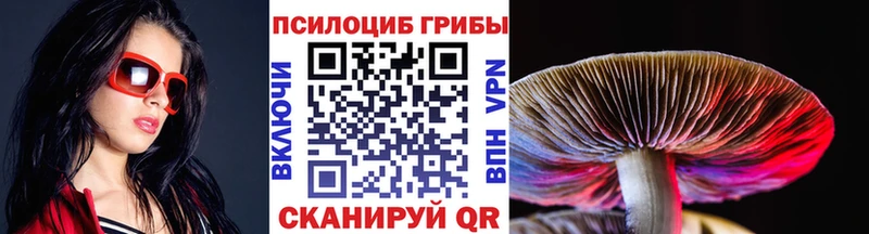 Псилоцибиновые грибы Cubensis Новоуральск